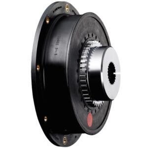Acoplamento de Flange BoWex-ELASTIC® TIPO HE